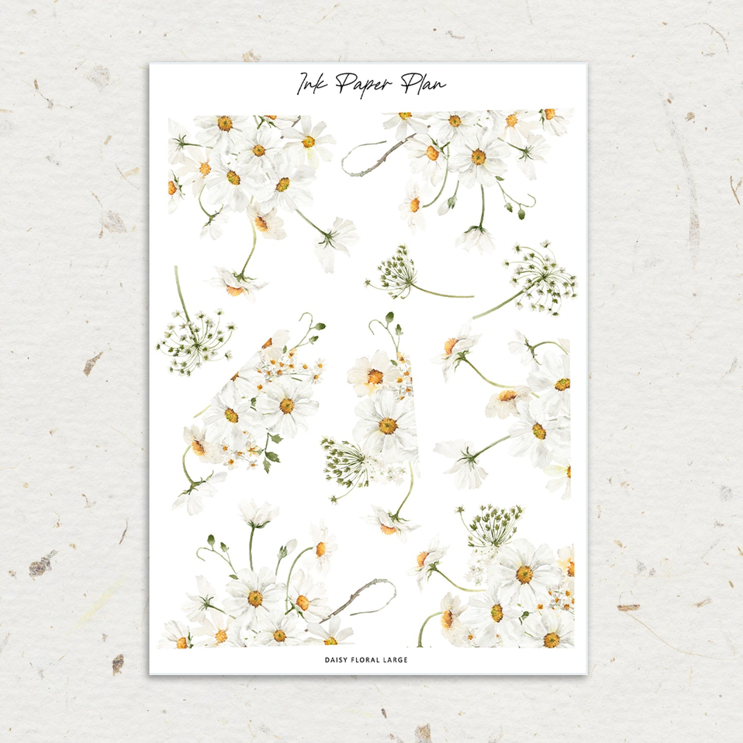Daisy | Floral Edges