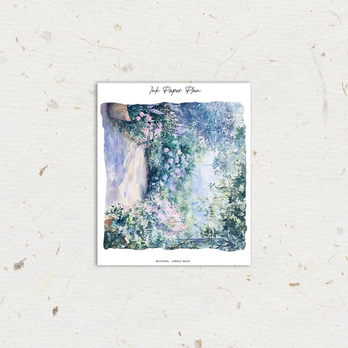 Wisteria | Single Deco