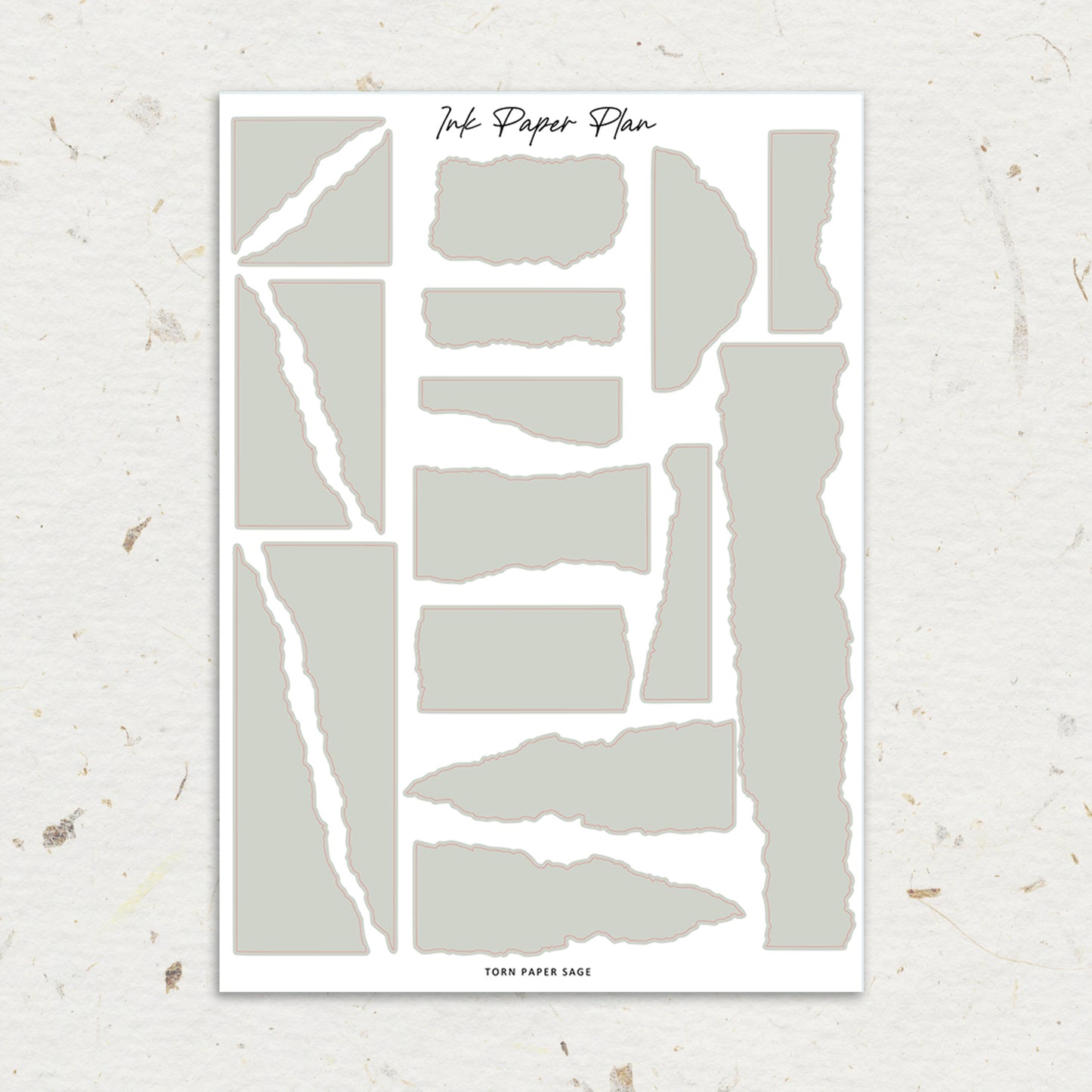 Torn Paper | Solid Neutral