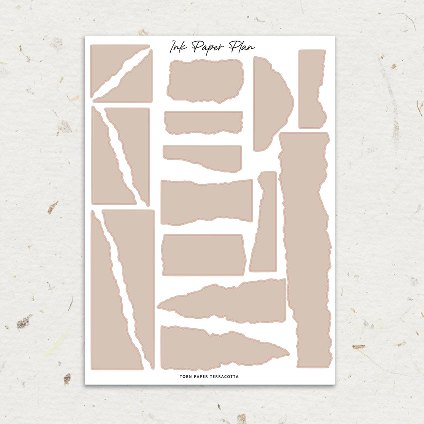 Torn Paper | Solid Neutral