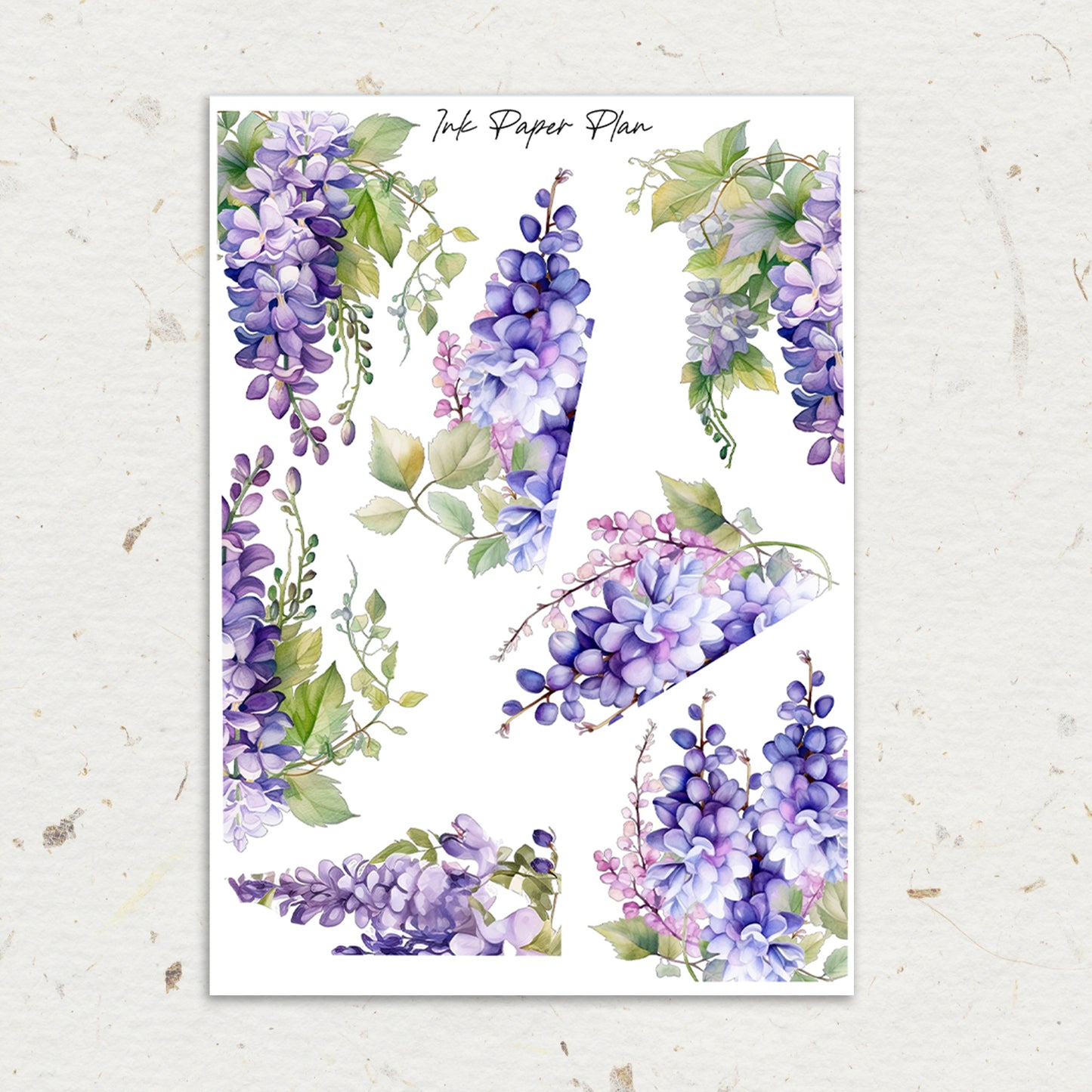 Wisteria | Floral Edges