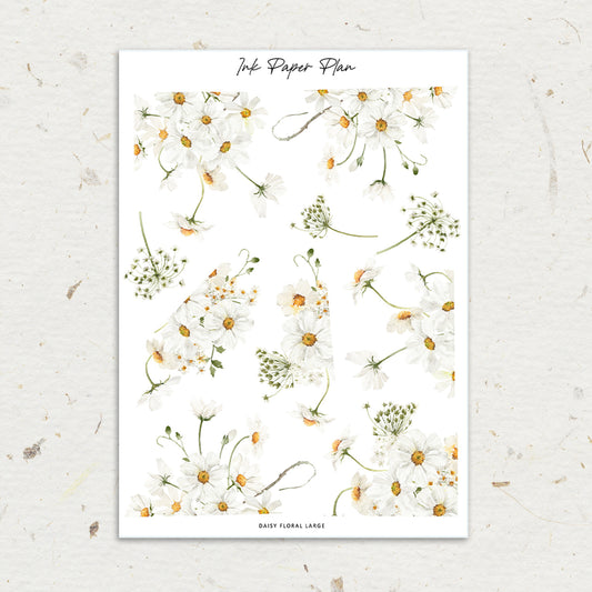 Daisy | Floral Edges
