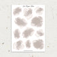 Neutral | Watercolor Spots