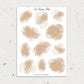 Neutral | Watercolor Spots