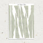 Washi Torn Paper | Watercolor Neutral
