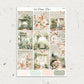 Terra | Weekly Kit | Rose Gold, Silver Foil, or Gold